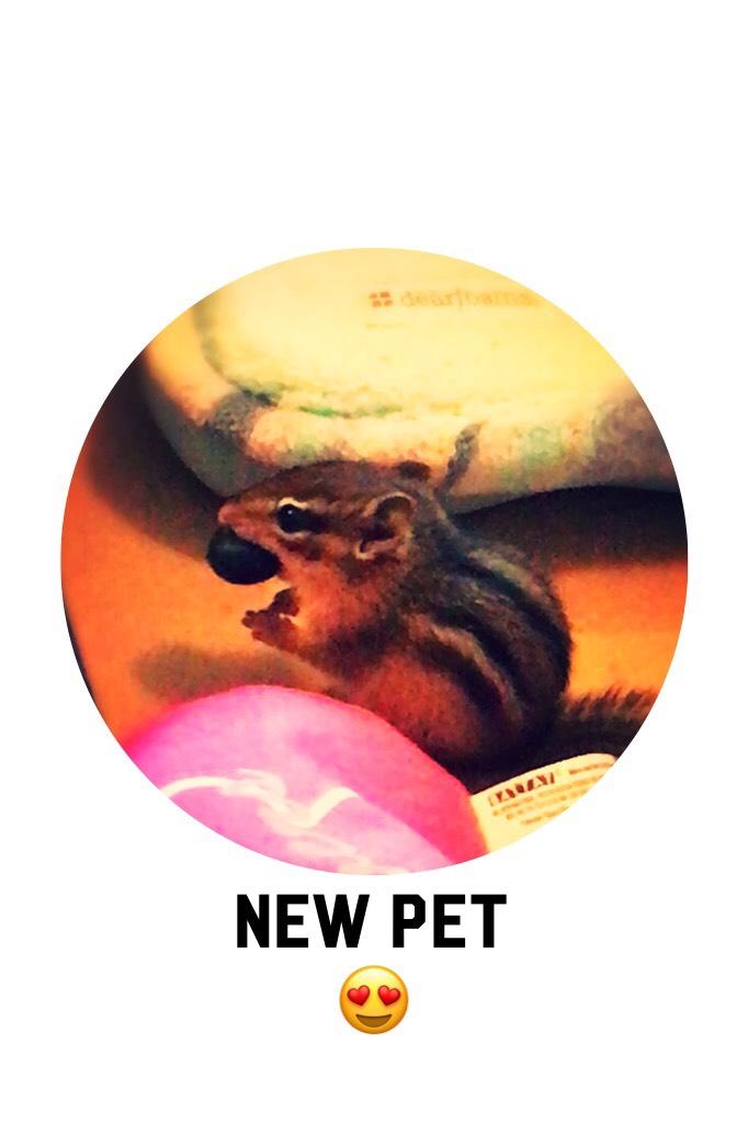 New pet 😍
