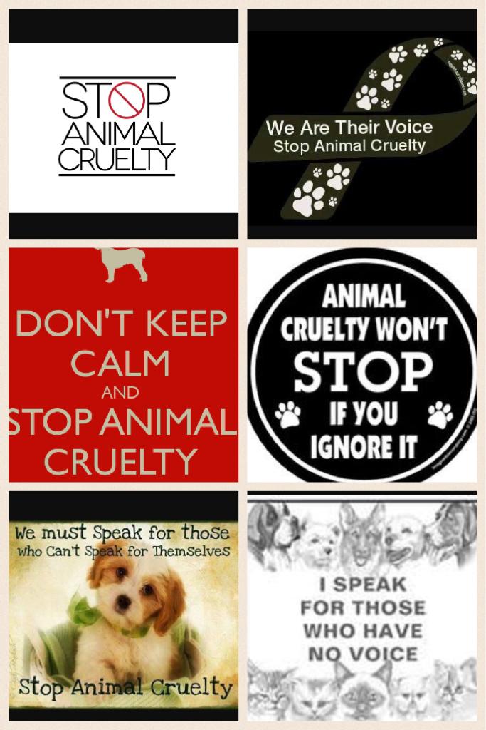 Stop animal cruelty and abuse 