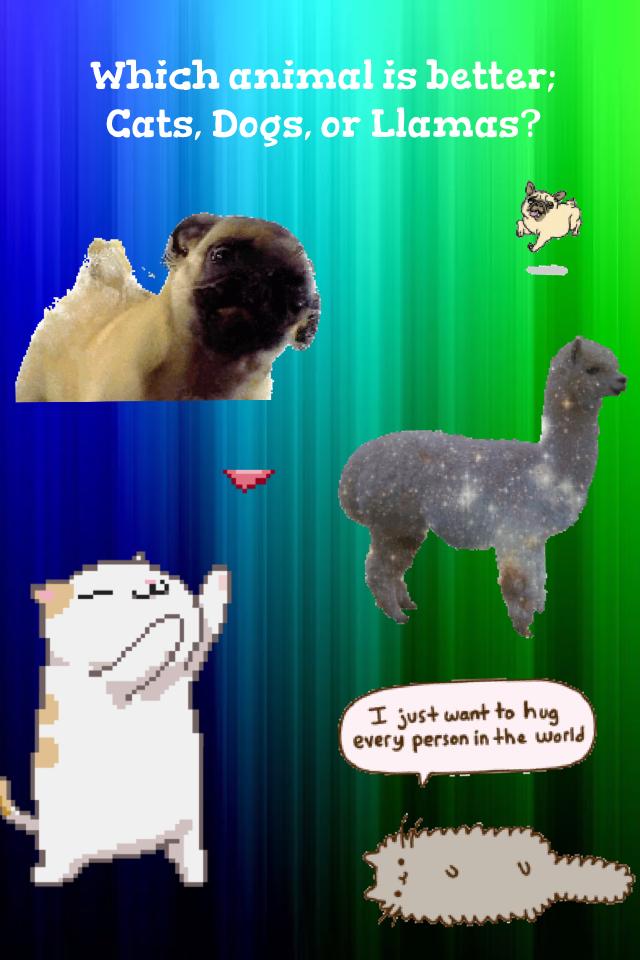 Which animal is better;
Cats, Dogs, or Llamas?