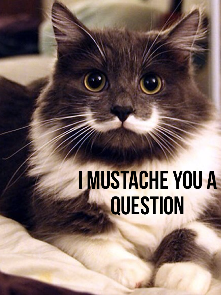 I mustache you a question