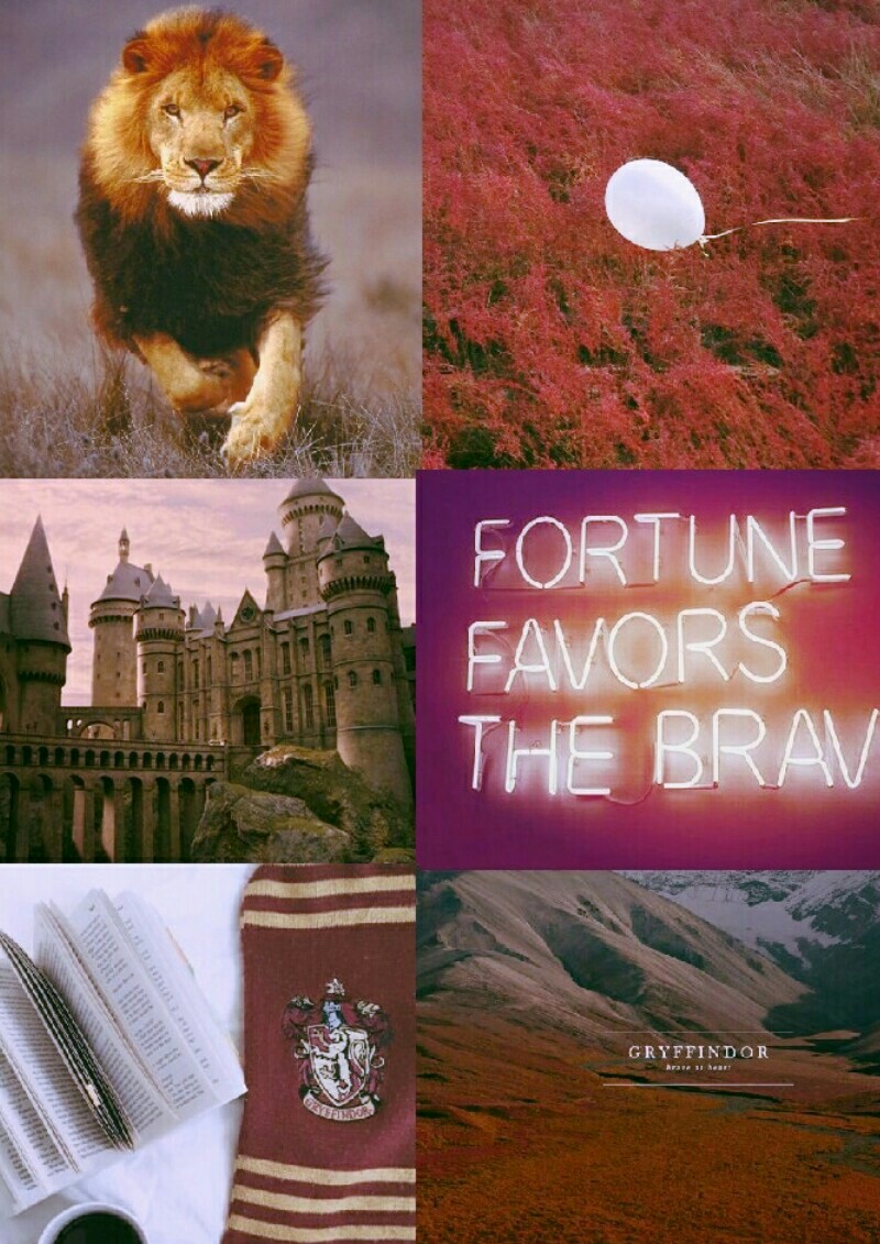 Gryffindor aesthetic by me