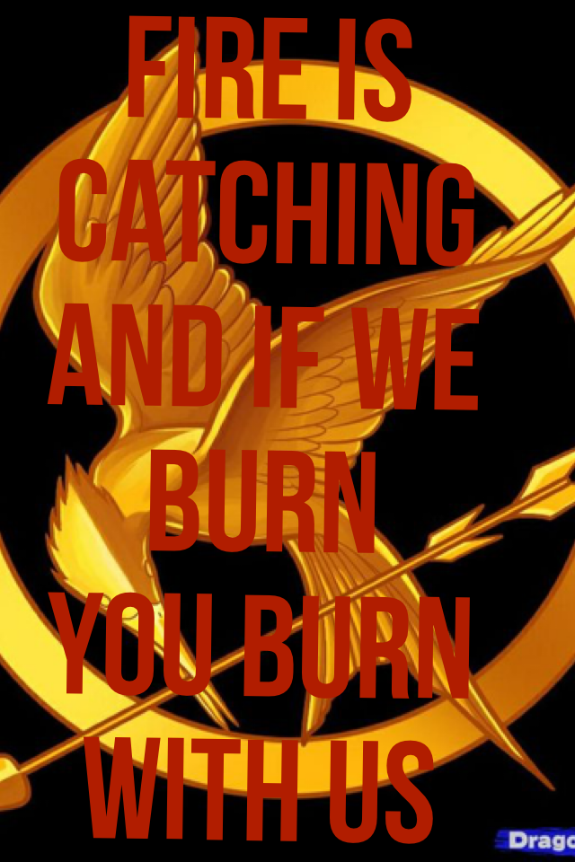 fire is 
catching 
and if we
burn
you burn
with us