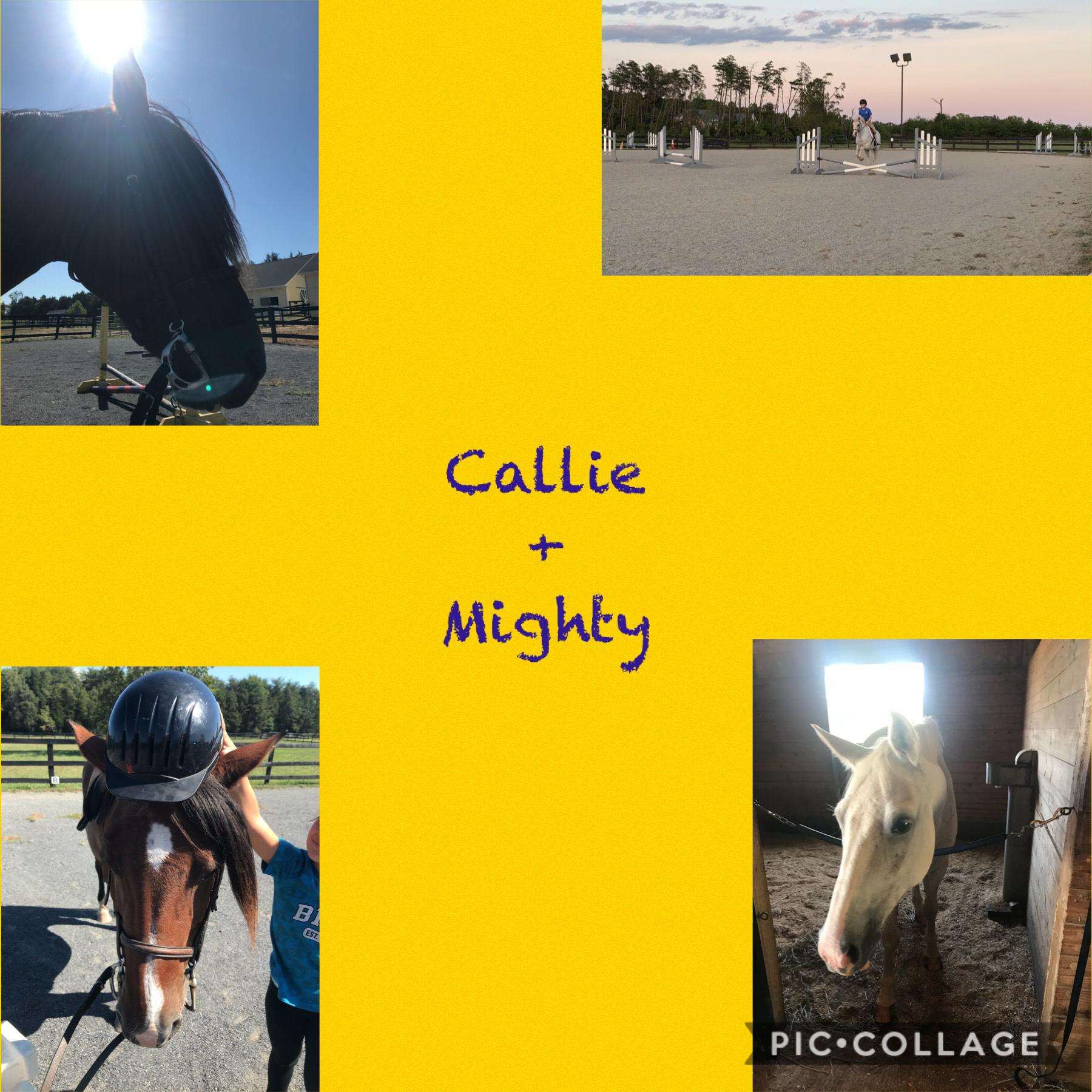 Callie is my bffs horse and mighty is mine!🙂!