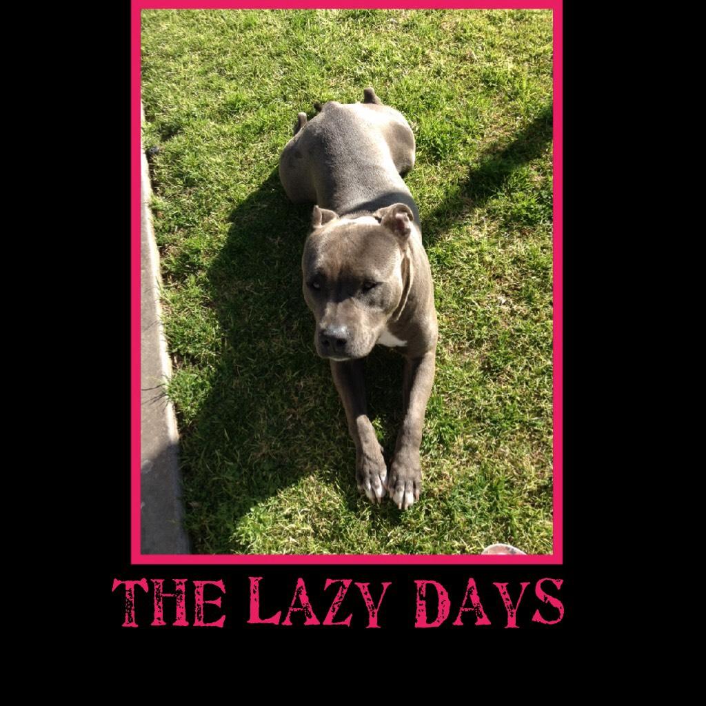 The Lazy Days