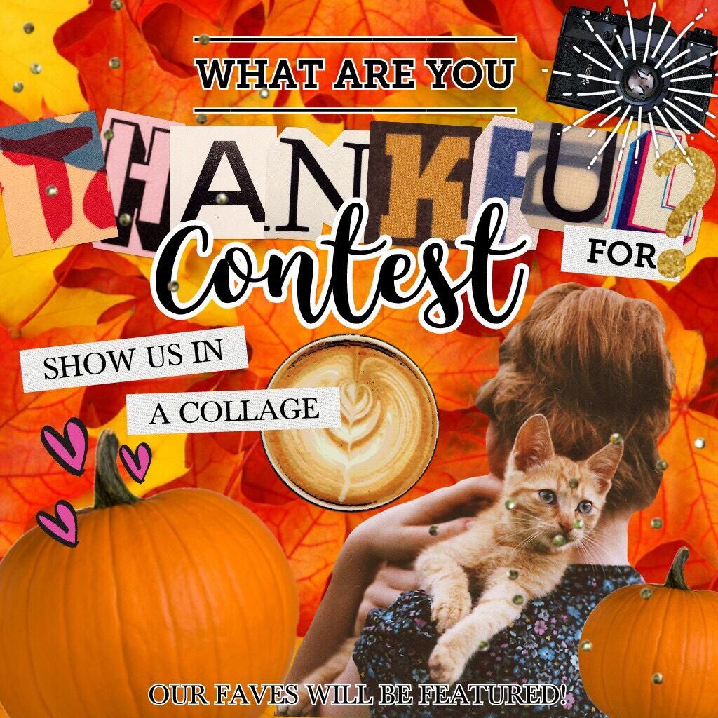 Thanksgiving contest!