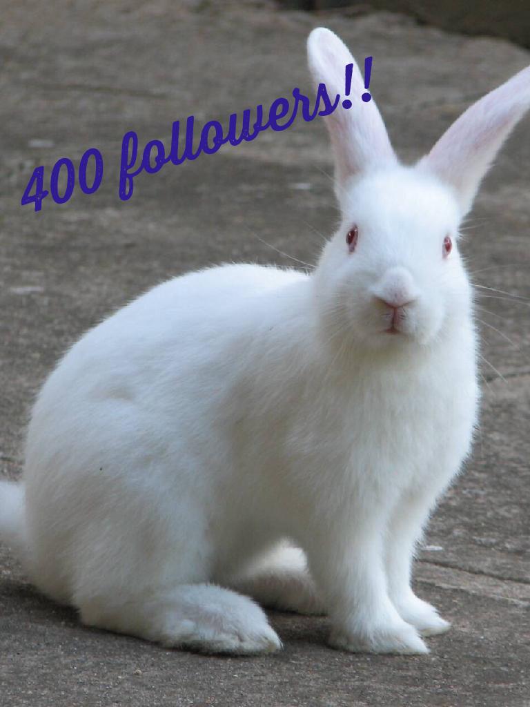 400 followers!!!