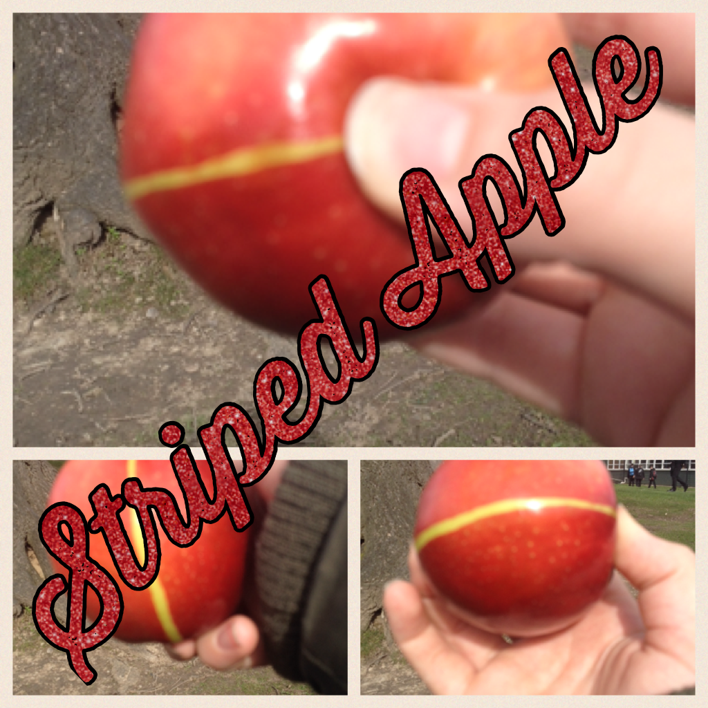 Striped Apple 