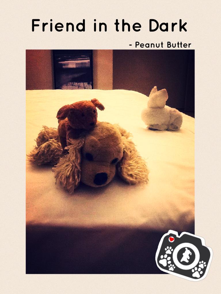 Peanut Butter found a friend in the darkness just by accedient! The two look alike in a cute way! Didn't you notice Peanut Butter's first friend in the backround, looking for Peanut Butter?