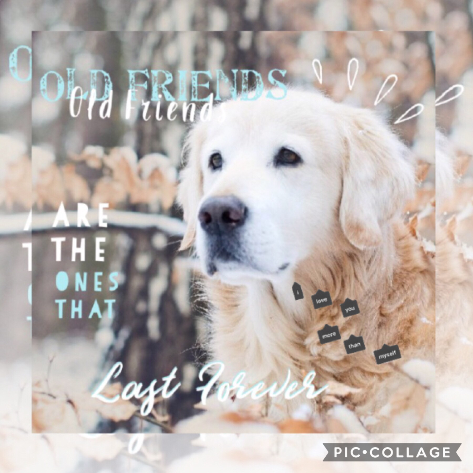🐕 Tap 🐕 
I think this one has a good quote. What do you guys think? Rate out of ten.