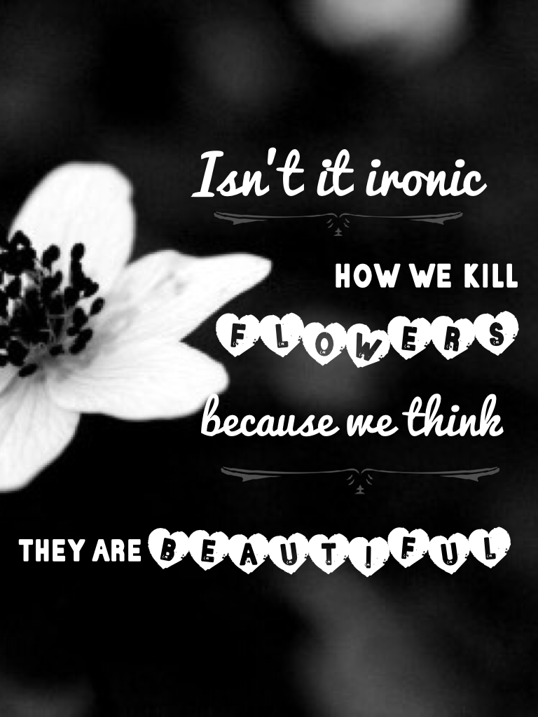how we kill 
FLOWERS