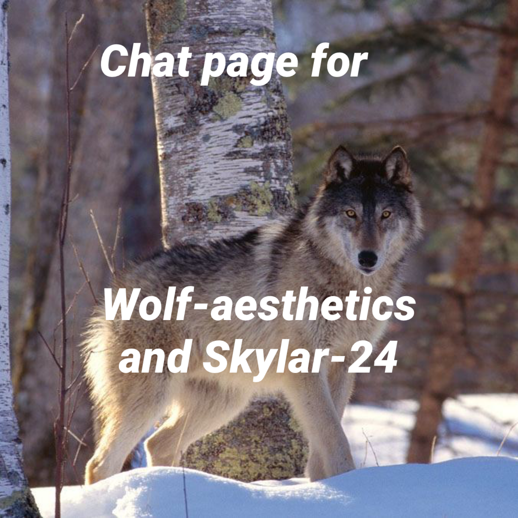 Tap

Only Wolf-aesthetics and Skykar-24 can do on this page 