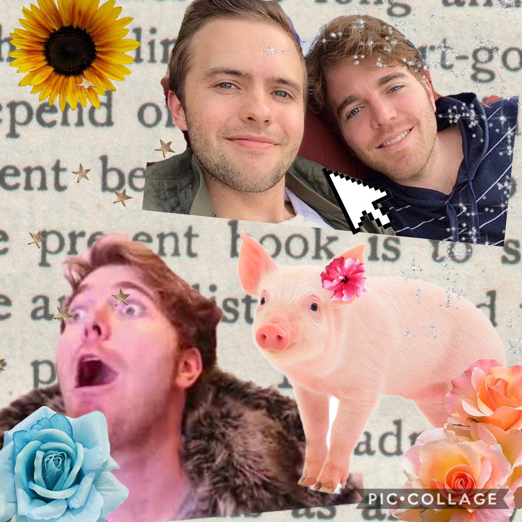 This is the ugliest pic collage I’ve ever made rip Shane 😭❤️