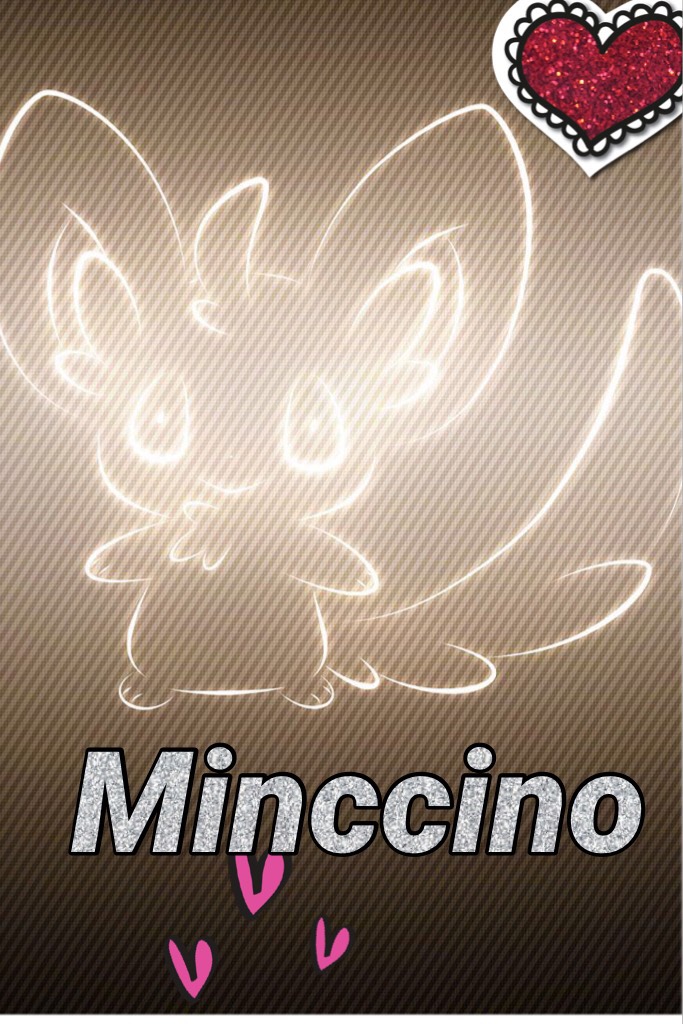 #Minccino  is so cute