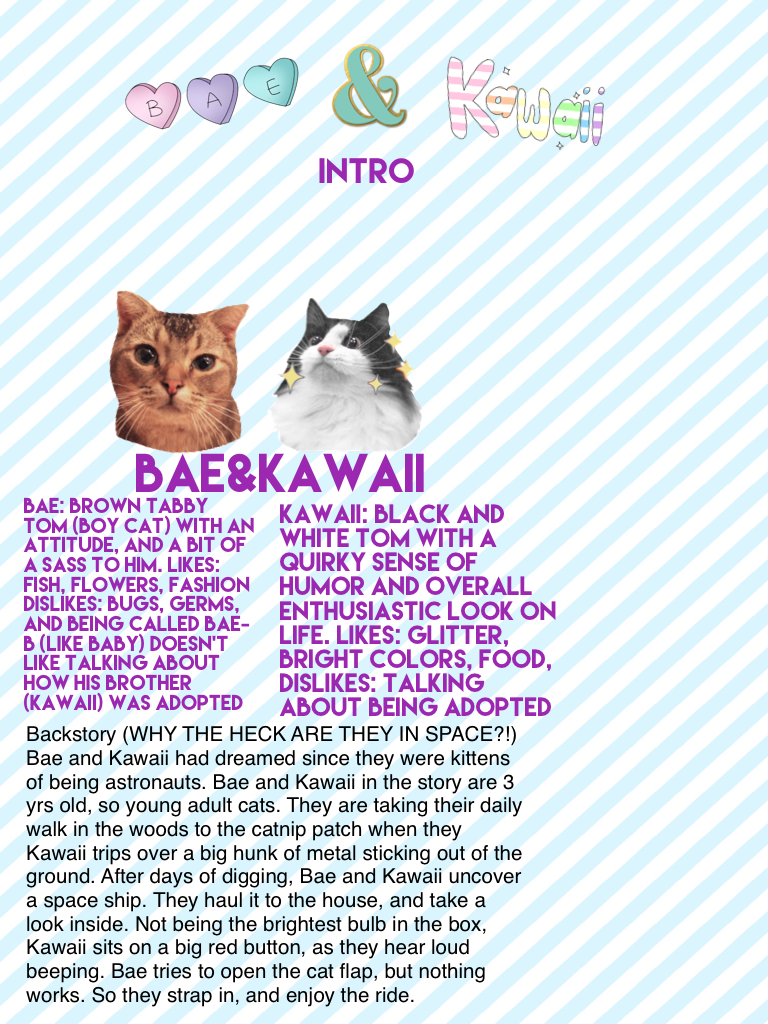 Bae&Kawaii Introduction
