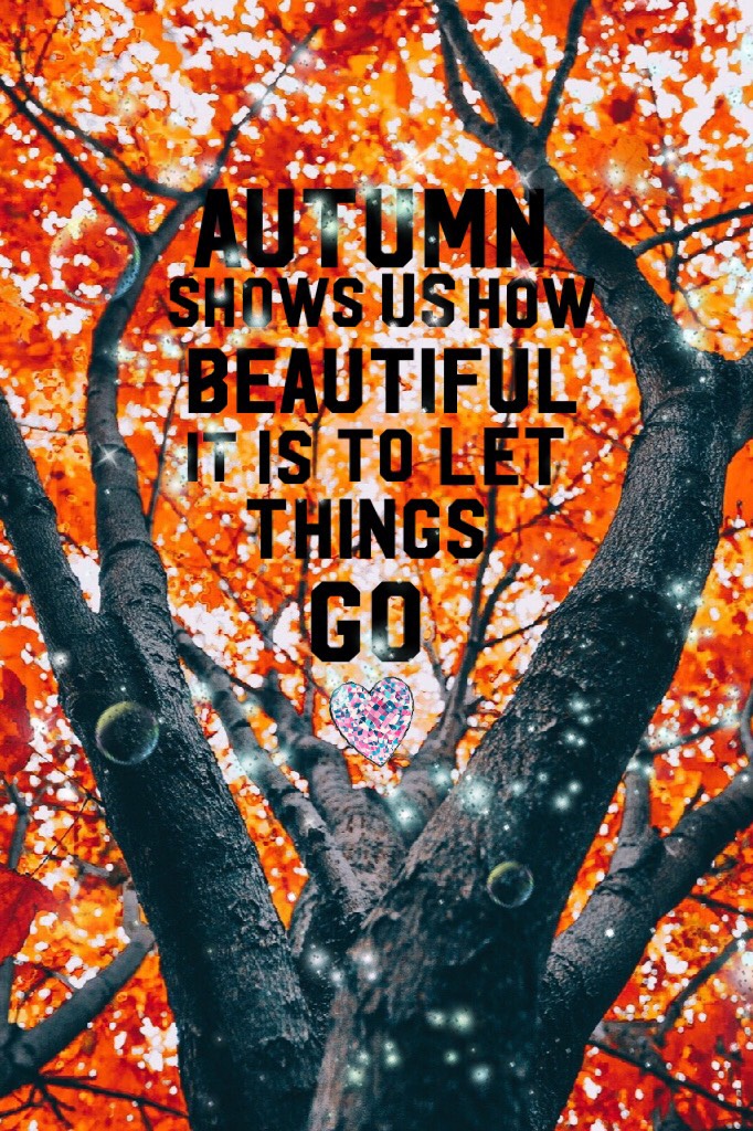 ✴️Autumn shows us how beautiful it is to let things go✴️