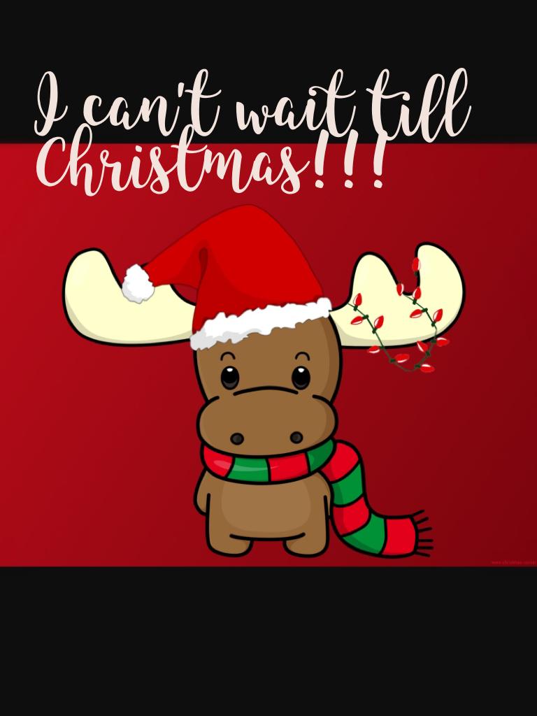 I can't wait till Christmas!!!