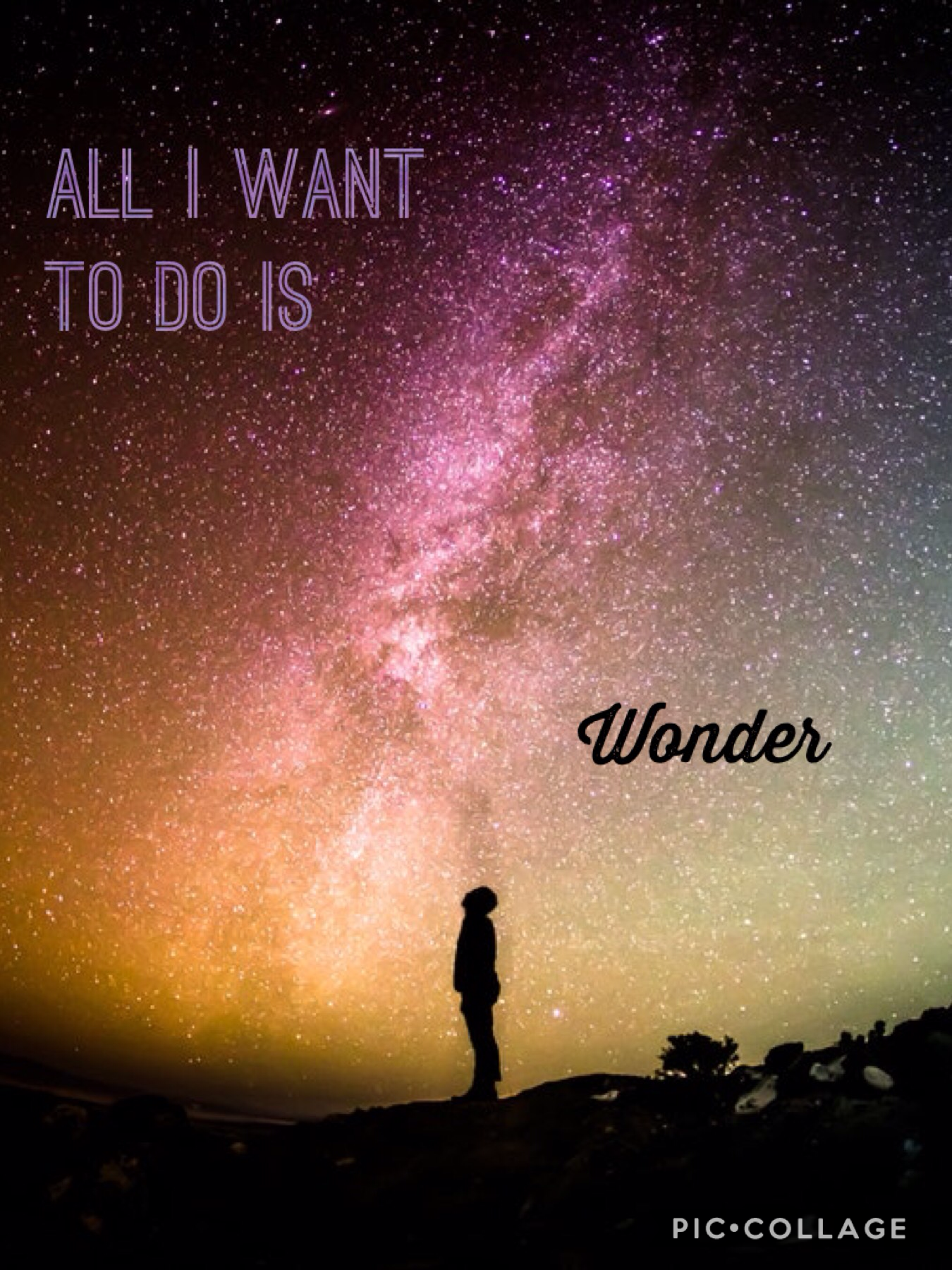 All I want to do is wonder
