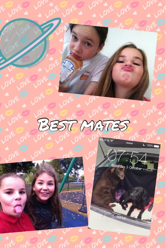 Best mates 
If u are on this collage u are amazing xxx