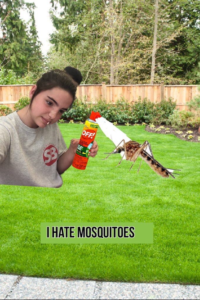 I hate mosquitoes 