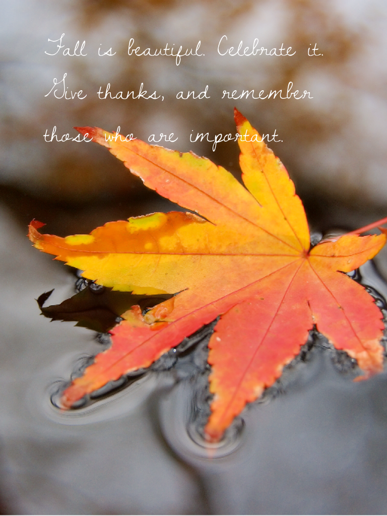 Fall is beautiful. Celebrate it. Give thanks, and remember those who are important. 