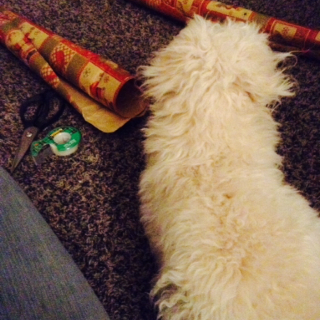 Beautiful moments like this make me so happy. My dog makes me so happy. We're just hanging out and I'm wrapping presents