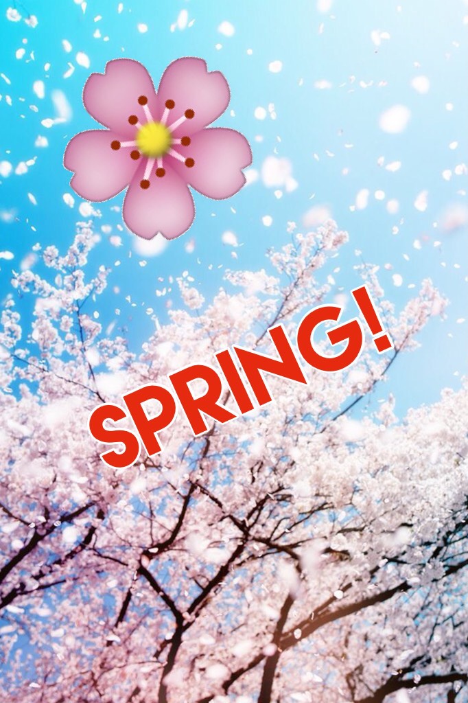 Spring! What first comes into your mind when you hear the word "Spring"? 🌷🌸🌹🌺🌻🌼