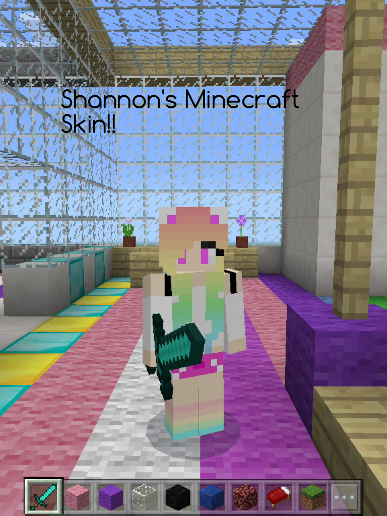 Shannon's Minecraft Skin!!🎀🎉