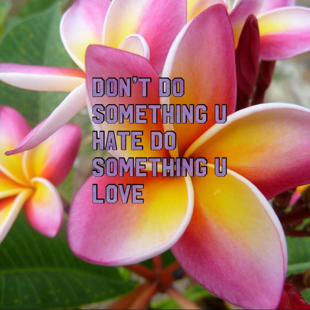 Don’t do something u hate do something u love 