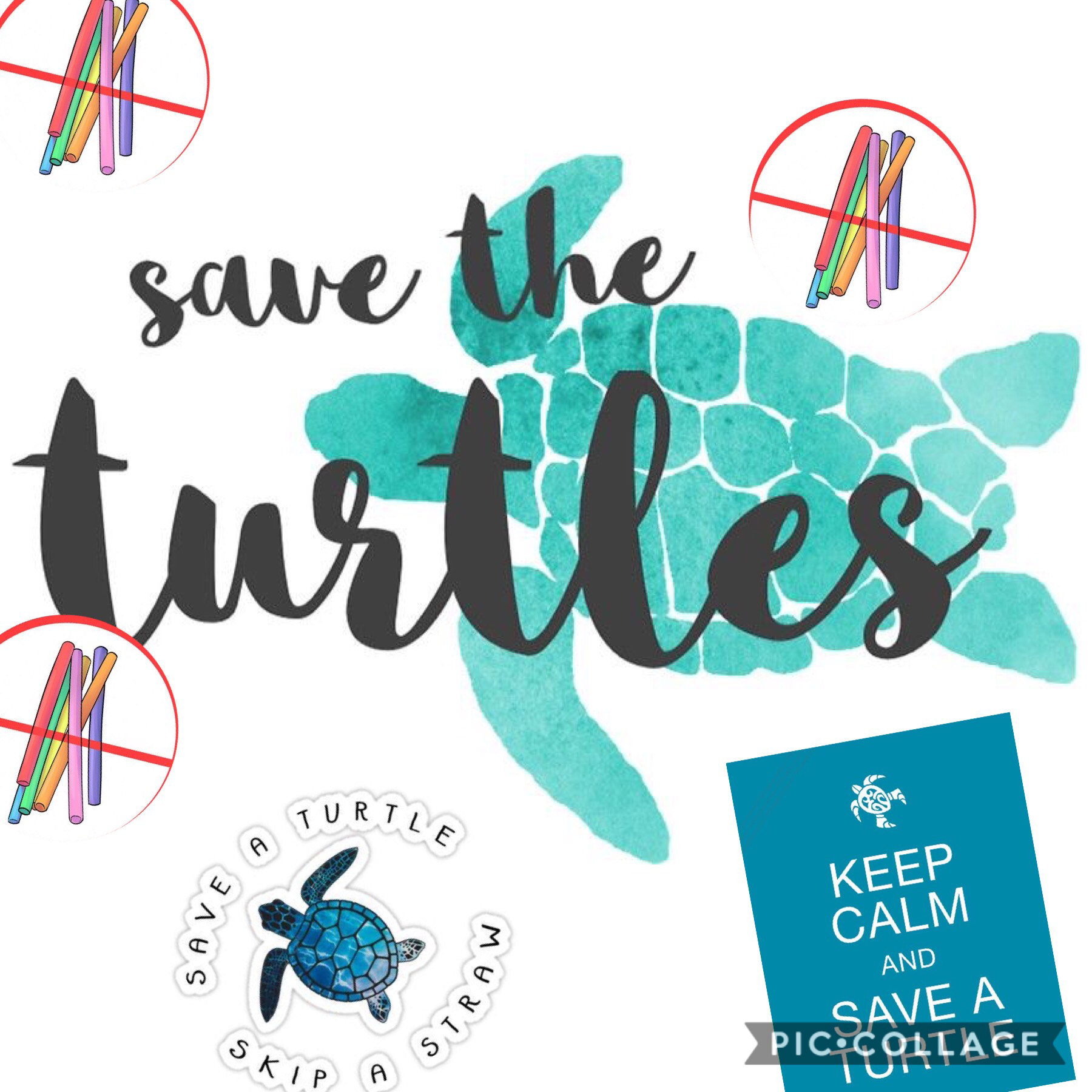 I know it’s not very neat but we all know we need to save the turtles
