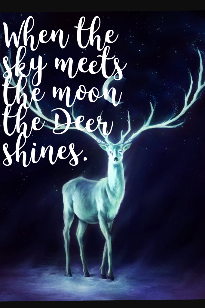 When the sky meets the moon the Deer shines.