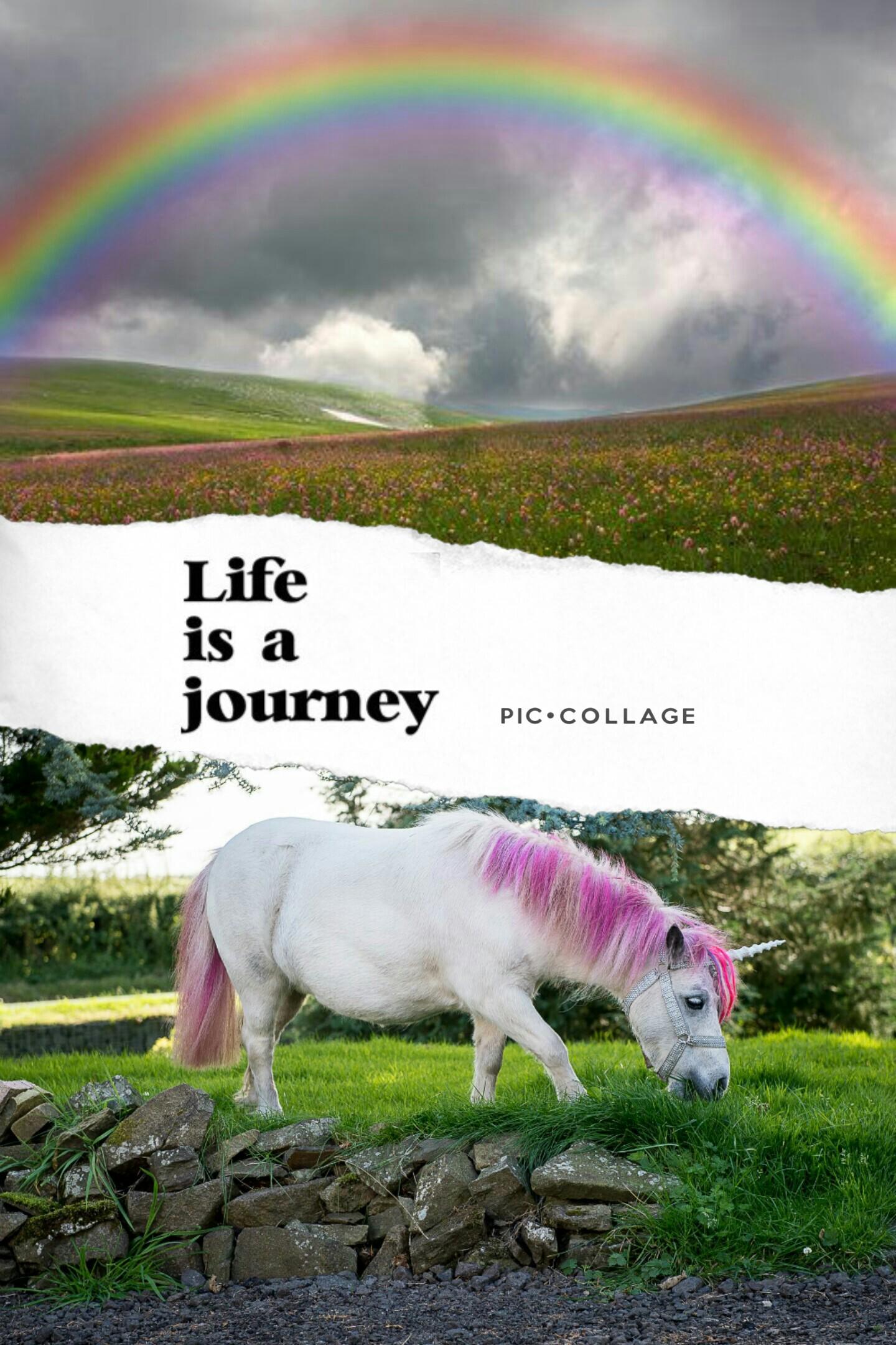 unicorns and rainbows for life 