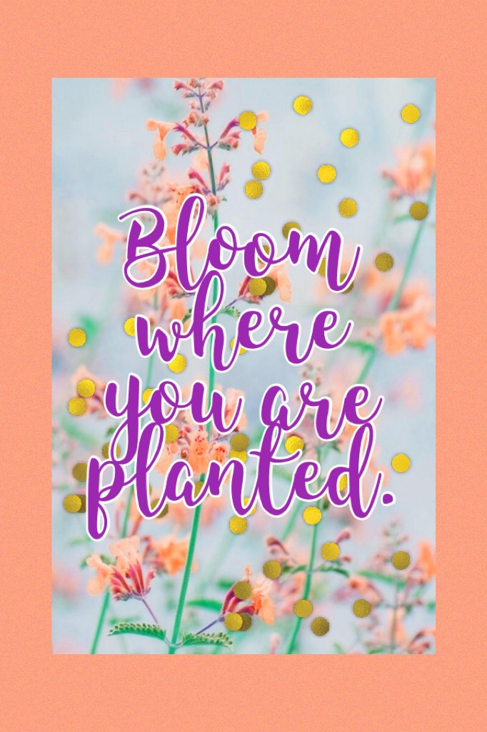 Bloom where you are planted. And don’t ever forget that.