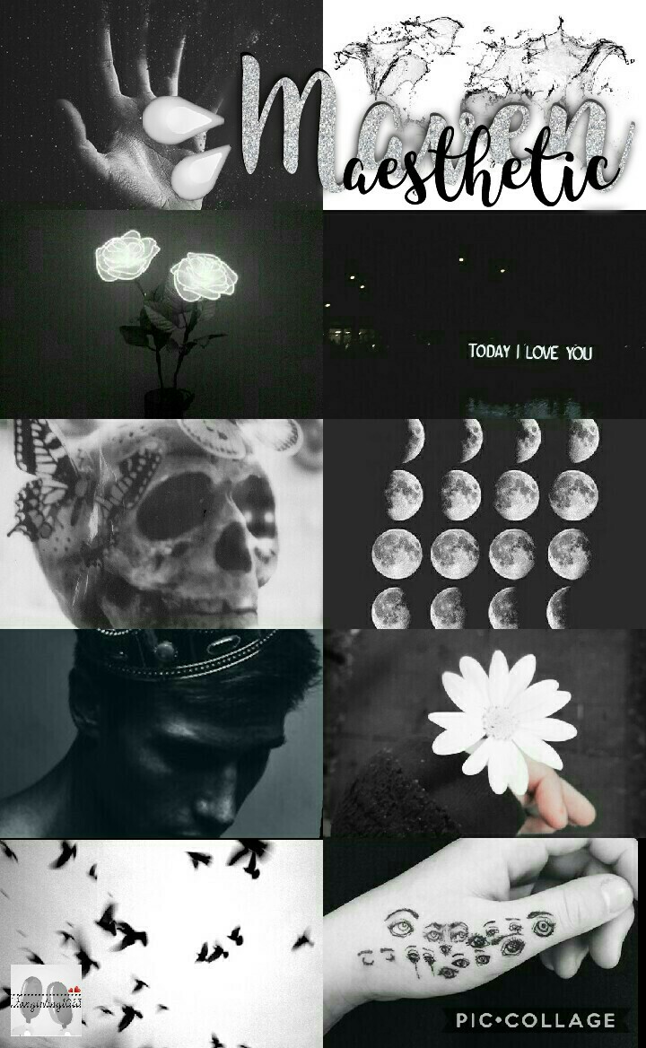 CHARACTER AESTHETIC THEME #2/10
maven...... ugh.
QOTD: Most recent OTP?
AOTD: Shade and Farley!😁😁😁😣😣😣