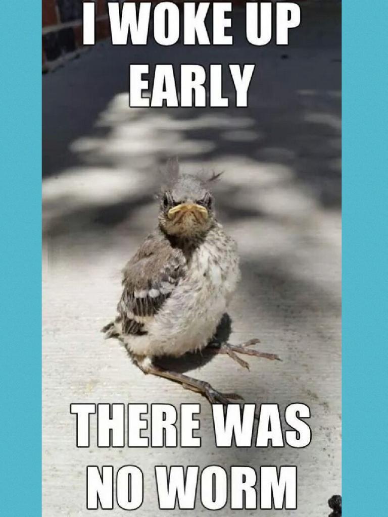The early bird (Sometimes) gets the worm😂