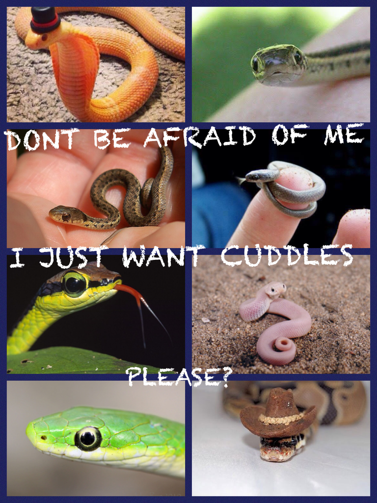 DONT BE SCARED OF SNAKES!