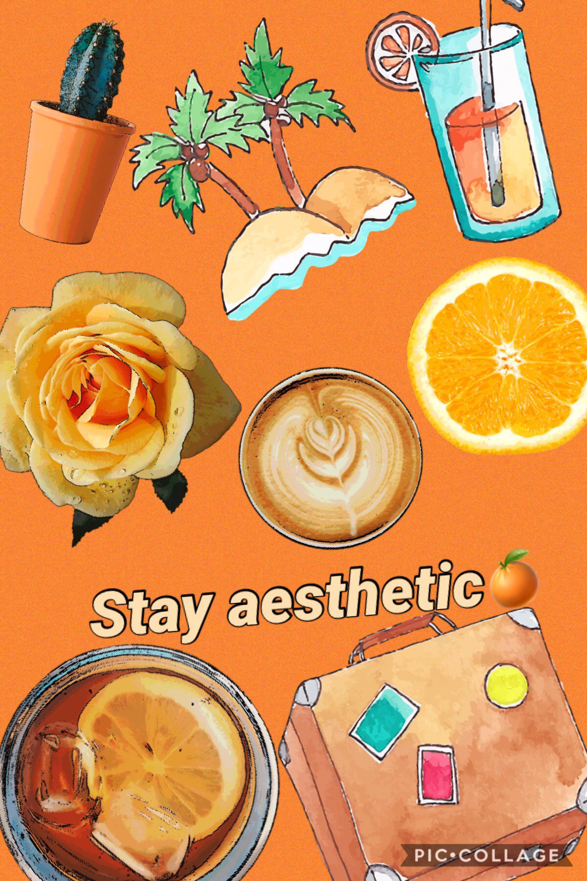 This should be aesthetically pleasing🍊📙🧡🌅