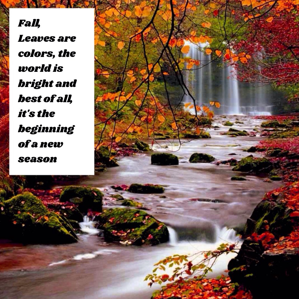 Fall, 
Leaves are colors, the world is bright and best of all, it's the beginning of a new season