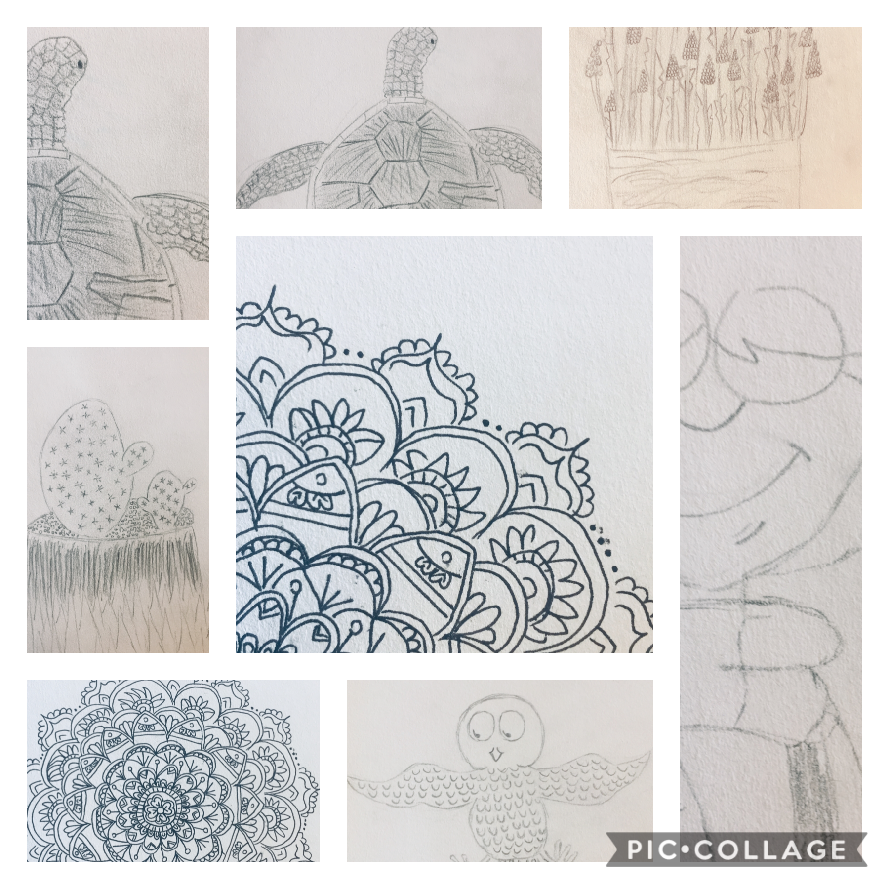Some of my artworks.. please I really need more ideas. Comment below (and like❣️) Thanks.. 