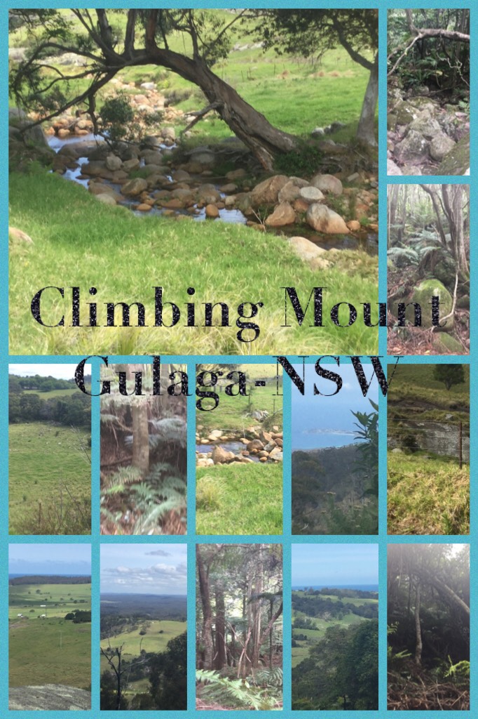 Climbing Mount Gulaga-NSW
Like & comment if you enjoy walking or hiking and don’t forget to follow me!!!