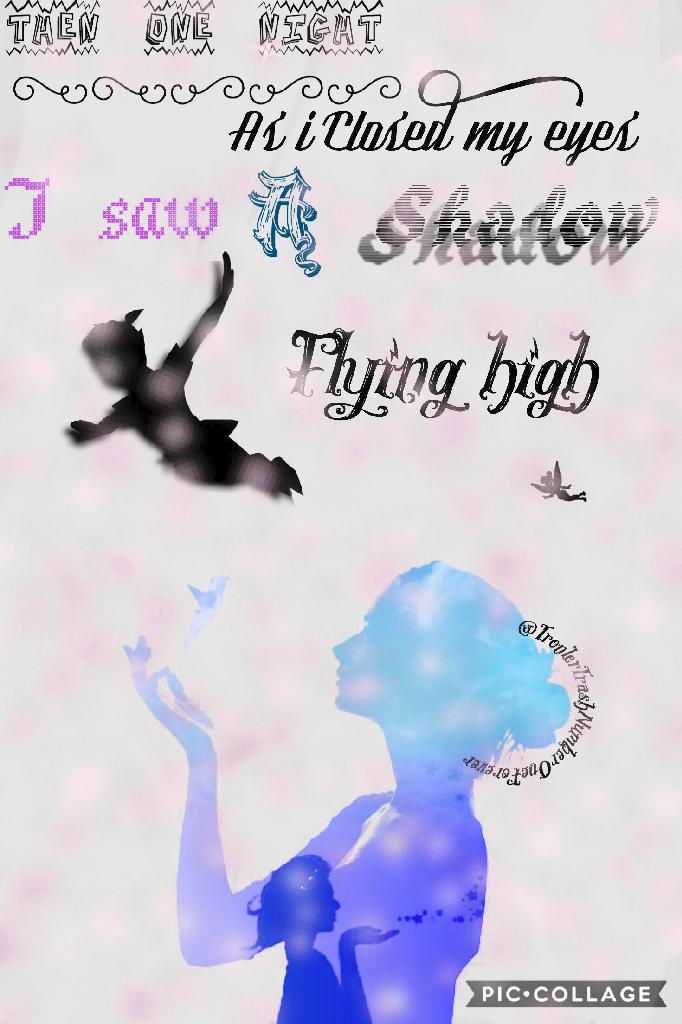 I saw a shadow Flying High🖤💿🦄