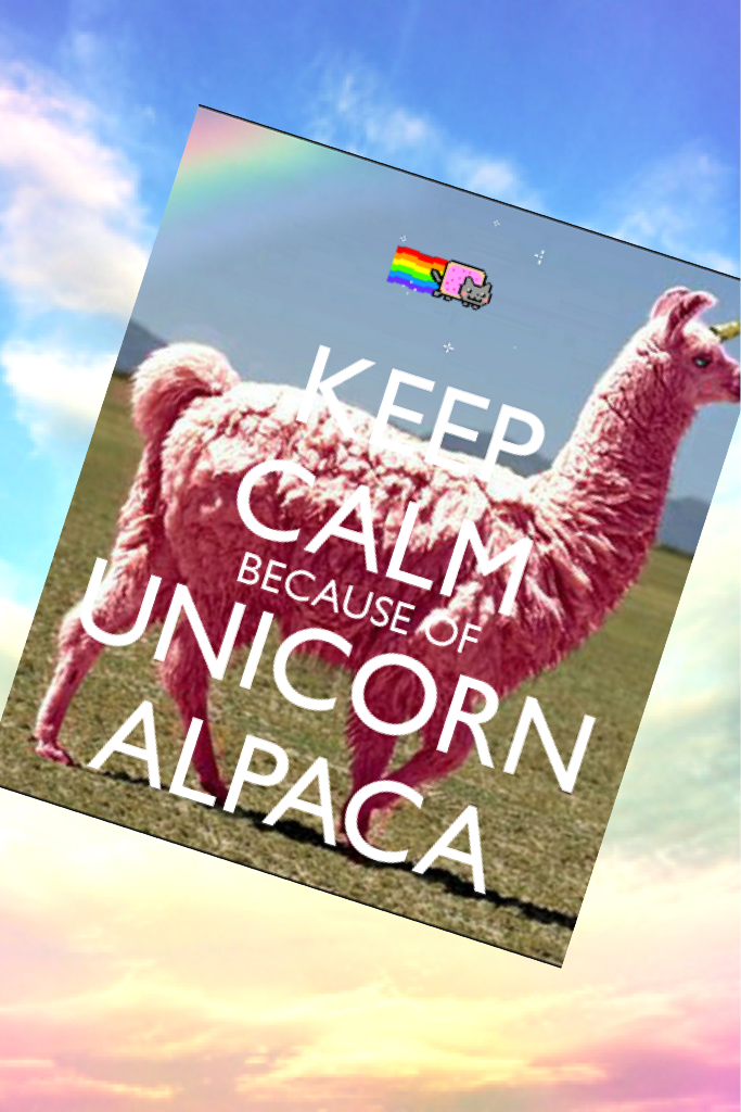 Unicorn alpaca!!🦄