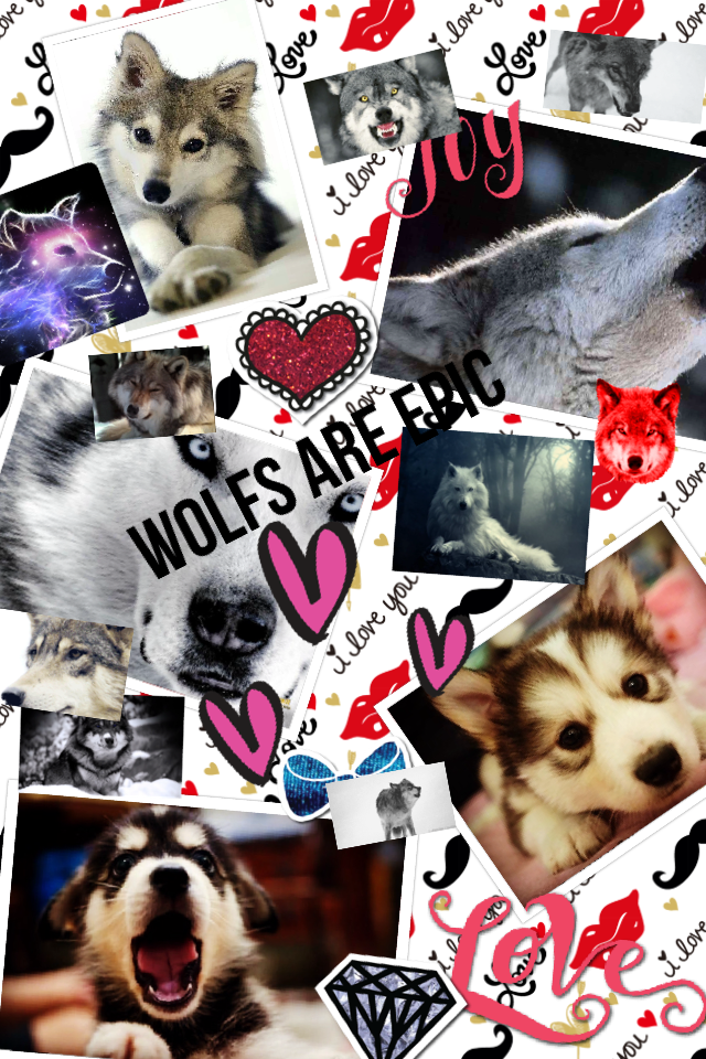 Wolfs are epic
