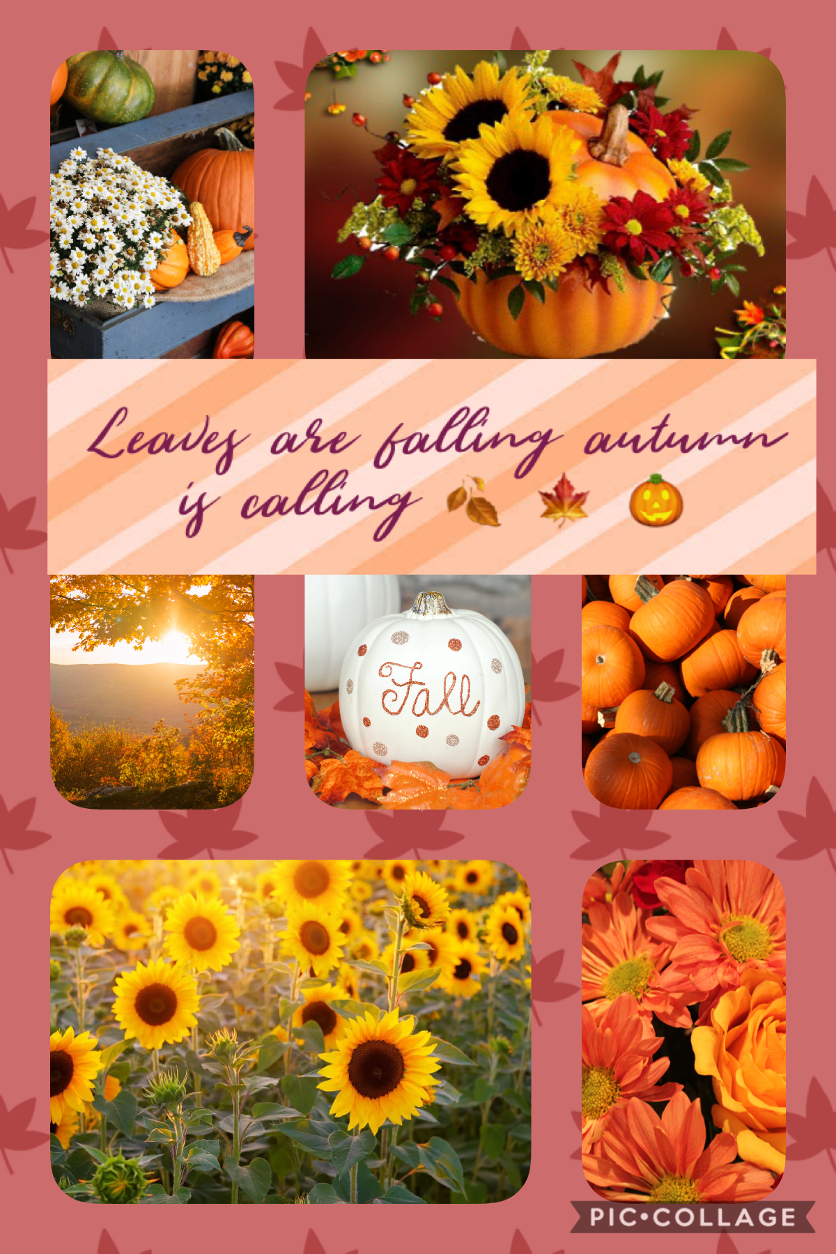 I love all the seasons fall reminds me about how much I love life family and friends! Spring reminds me of flowers and my love for animals! Summer reminds me of fun sun and water and lots of it needed my happy place is the beach and winter reminds me of f