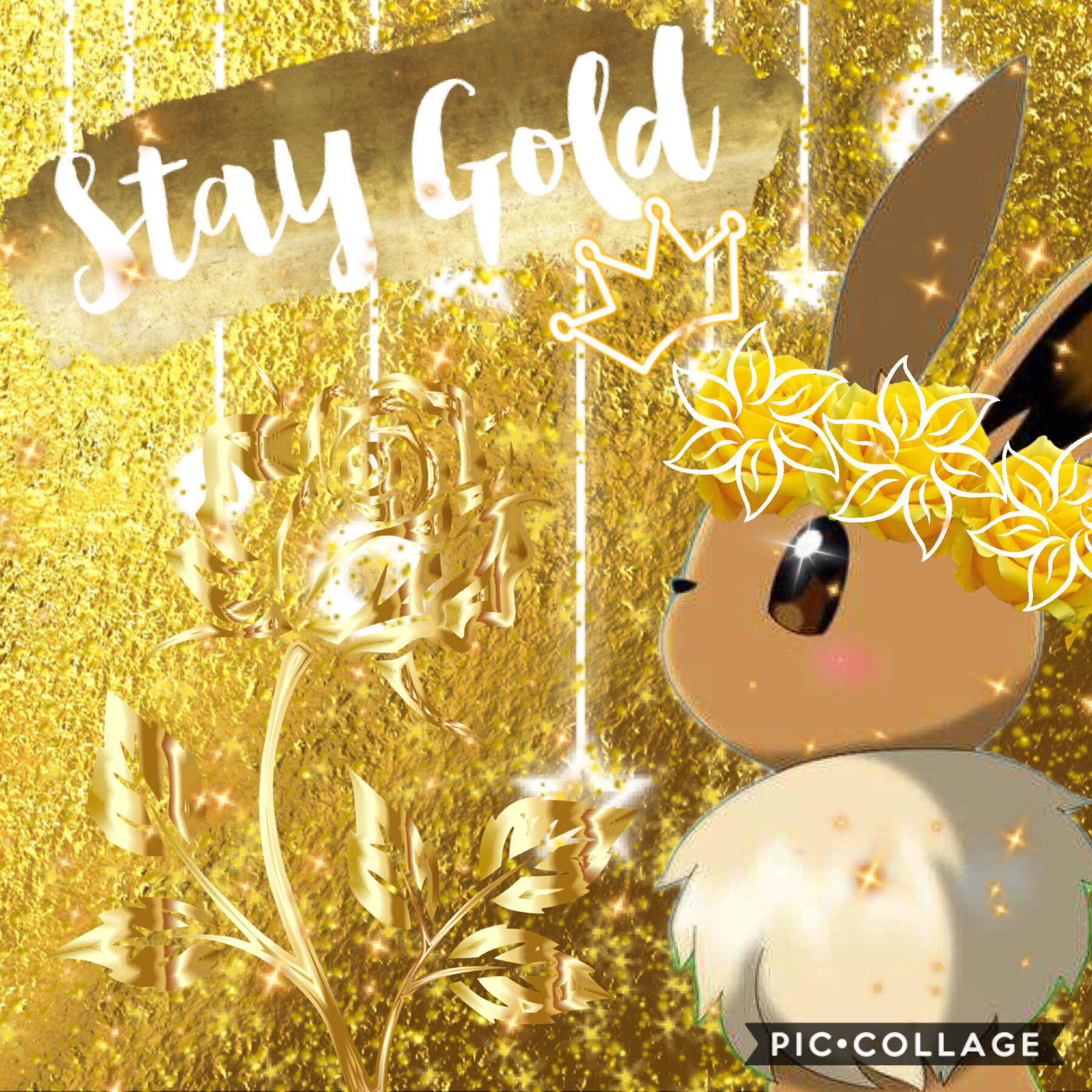 Stay gold~✨
