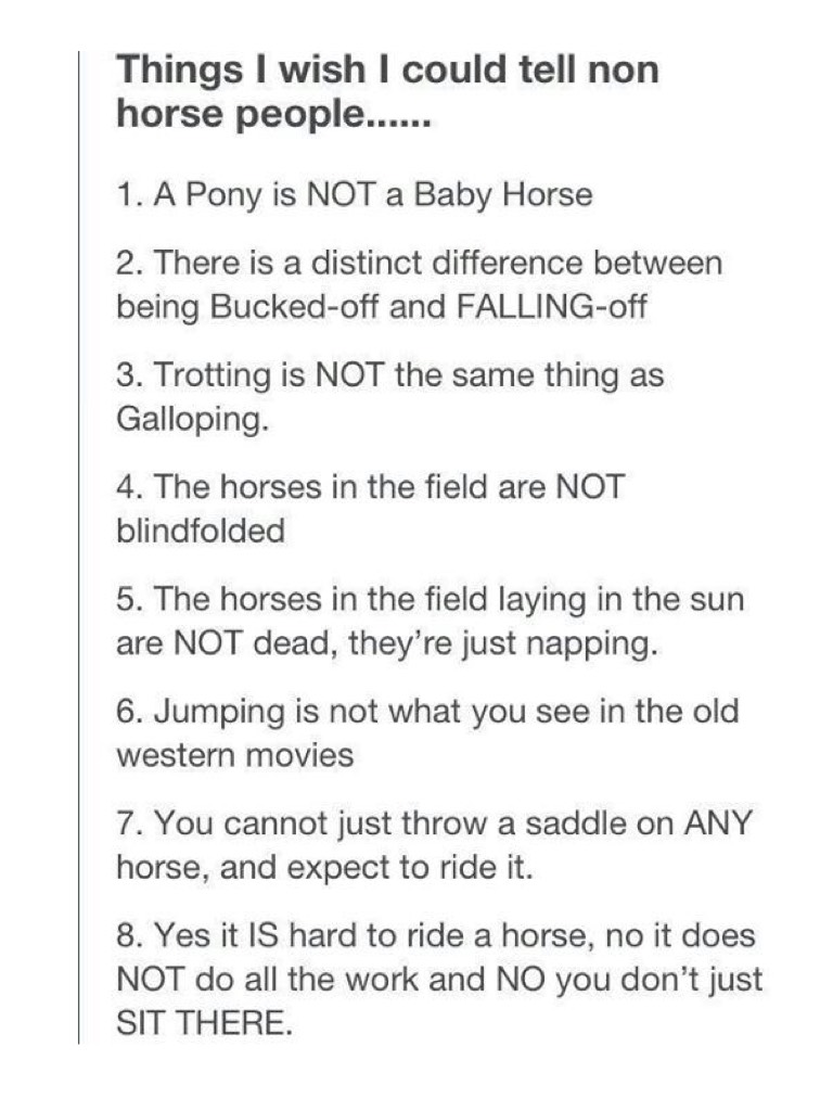 Things I wish I could say to non horsey people