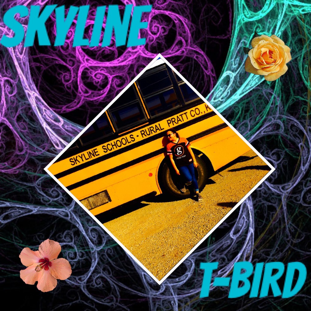Skyline T-birds rule!!!!!!