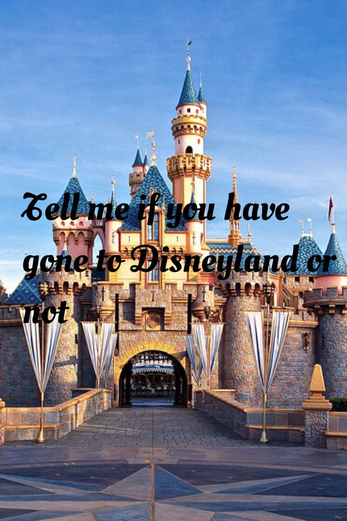 Tell me if you have gone to Disneyland or not