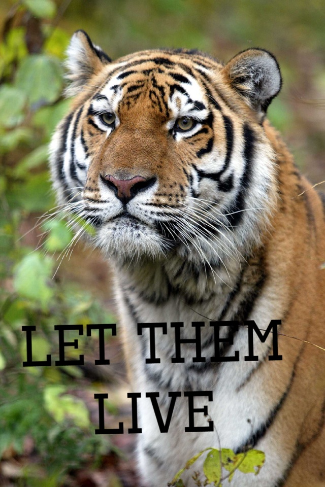 Let them live