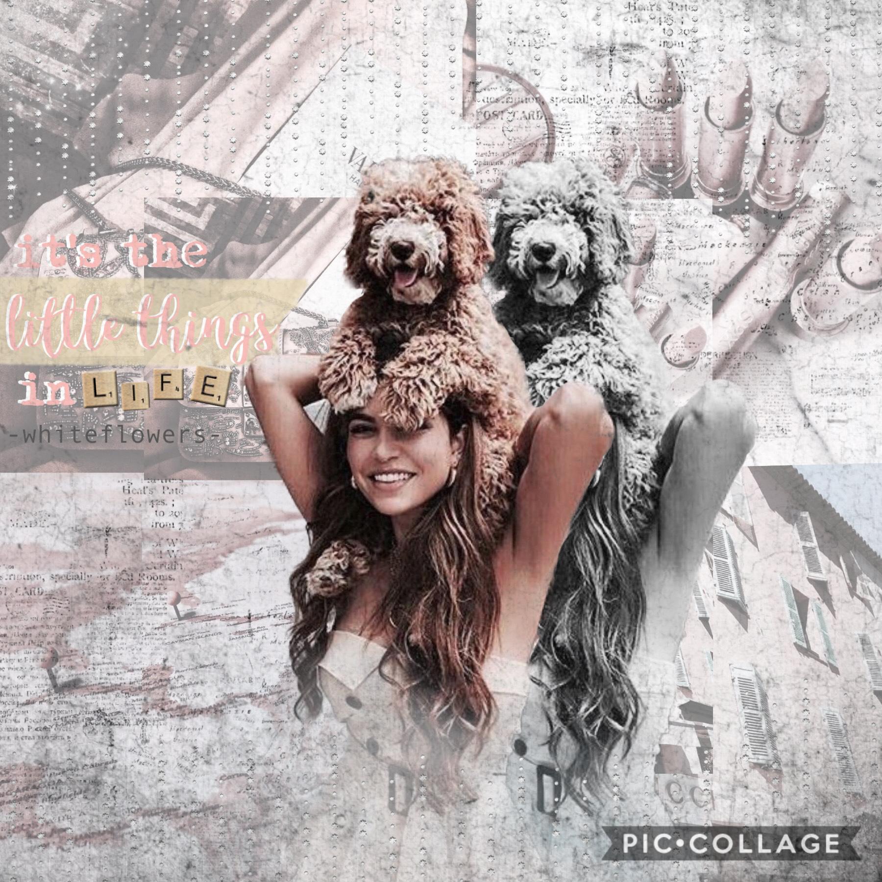 My last rose gold collage! Tap 💓 
So I finished this rose gold theme I hope you like it! Can’t wait for you to see my next theme but first I have a couple other things to post! Also my icon contest has now finished so I will try and get the results out AS