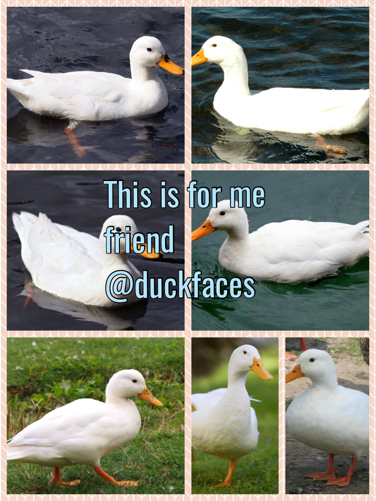 This is for me friend @duckfaces